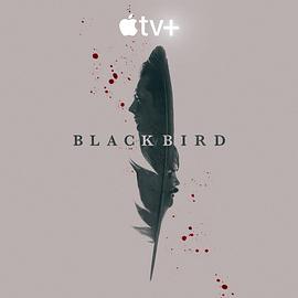 黑鸟 Black Bird[电影解说]